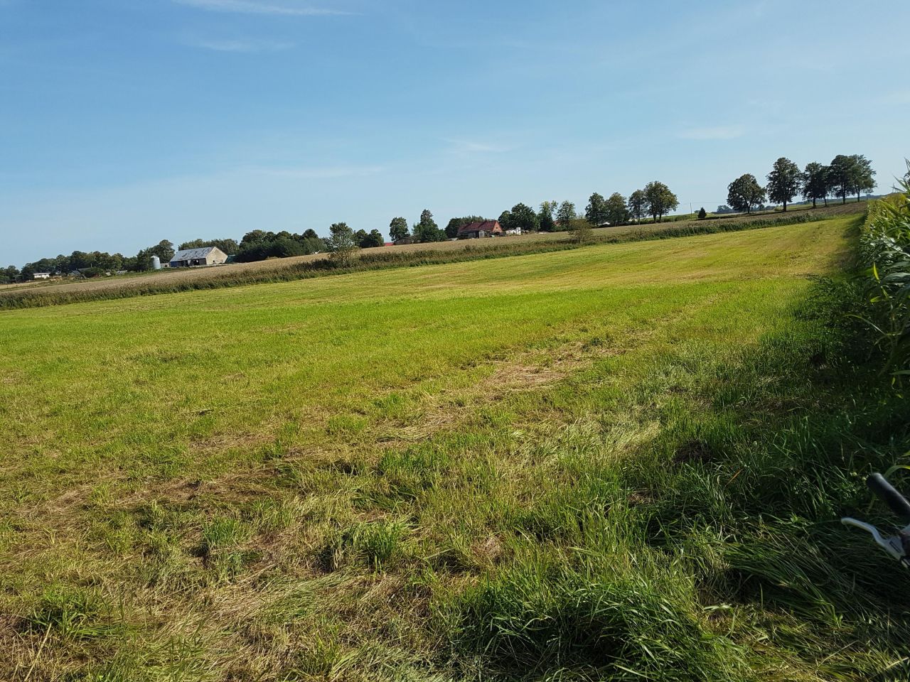 Działka rolna Gałdowo. Zdjęcie 2