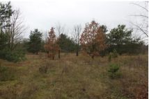 Działka rolno-budowlana Warszawa Wawer, ul. Retmańska. Zdjęcie 3