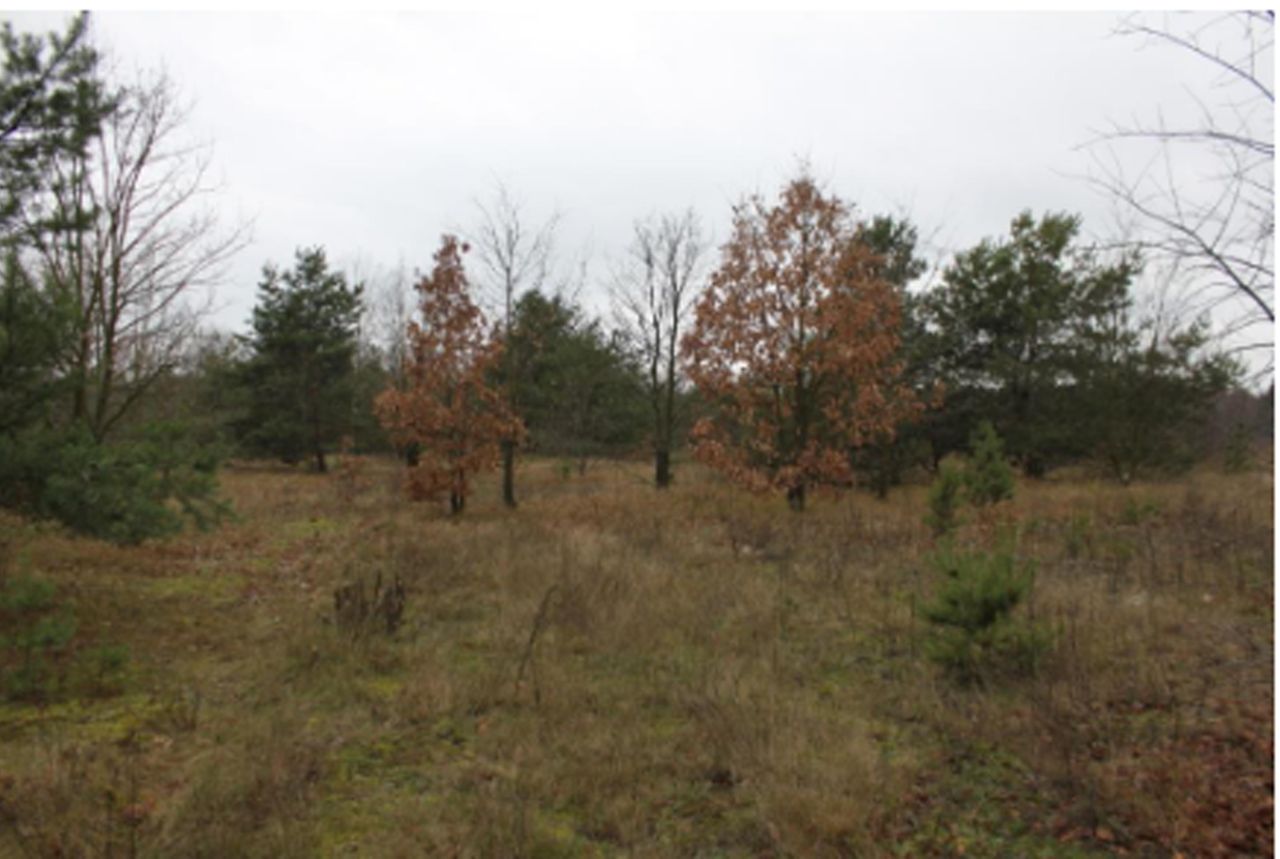 Działka rolno-budowlana Warszawa Wawer, ul. Retmańska. Zdjęcie 4
