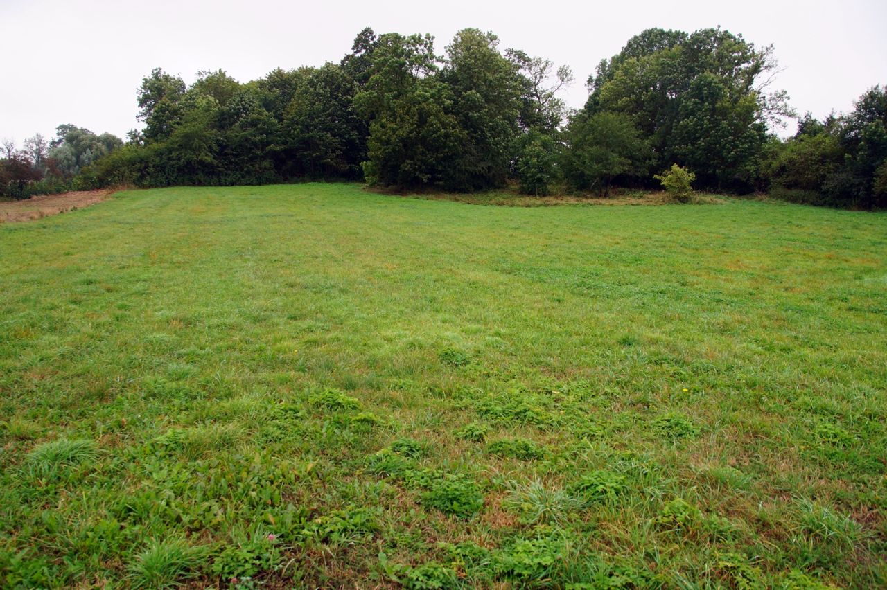 Działka budowlana Stara Różanka. Zdjęcie 3