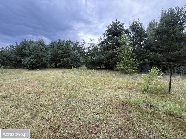 Działka rekreacyjna Nowe Miasto-Folwark, Przyjaciele Łosia. Zdjęcie 1