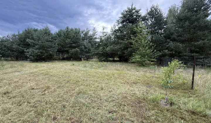 Działka rekreacyjna Nowe Miasto-Folwark