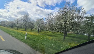 Mieszkanie 3-pokojowe Kraśnik Kraśnik Fabryczny, ul. Pogodna