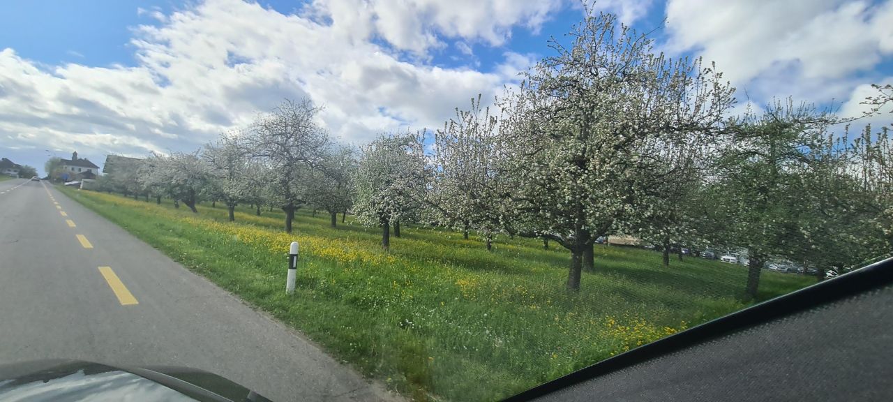 Mieszkanie 3-pokojowe Kraśnik Kraśnik Fabryczny, ul. Pogodna. Zdjęcie 2