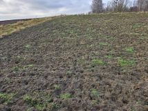 Działka budowlana Zwierzewo. Zdjęcie 3