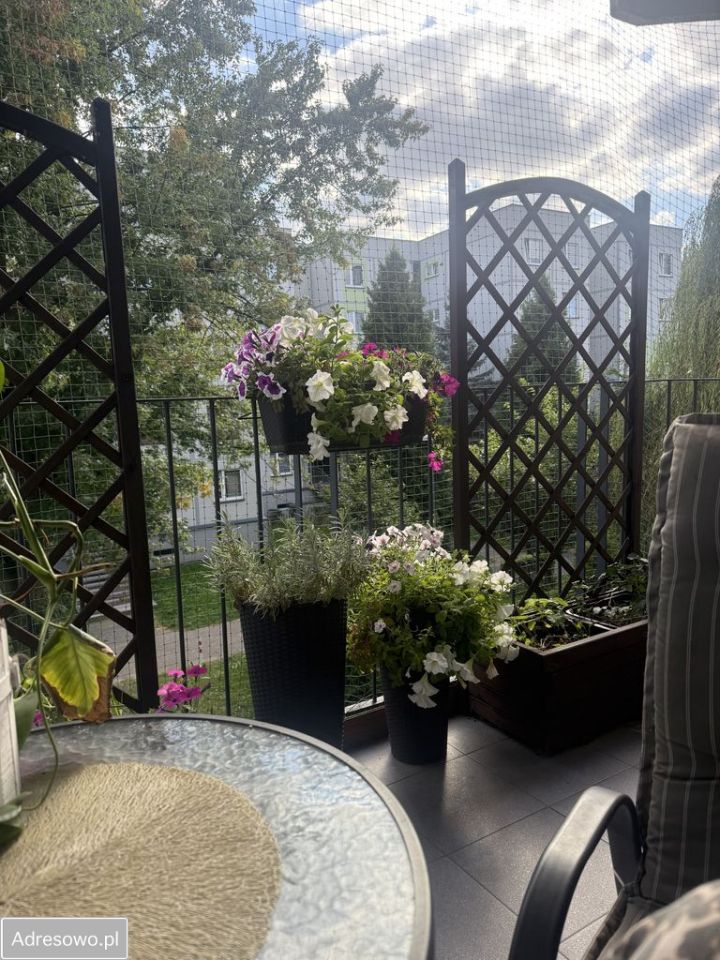 Mieszkanie 3-pokojowe Sosnowiec Niwka, ul. Benedykta Dybowskiego. Zdjęcie 5