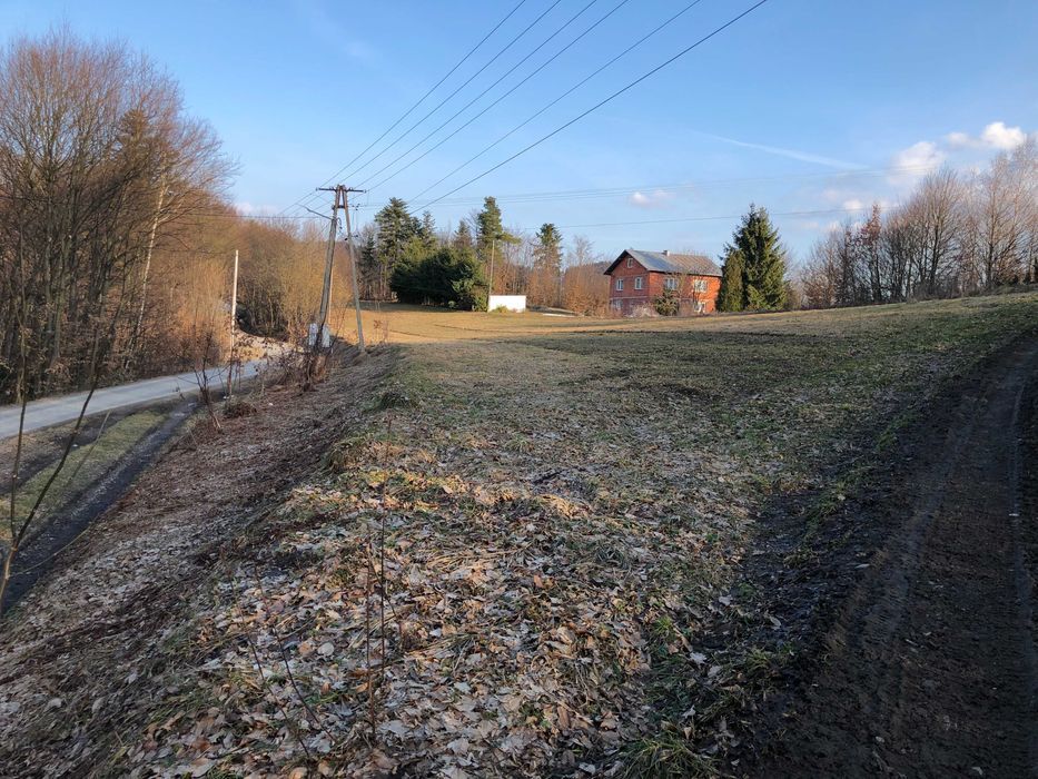 Działka budowlana Paszyn. Zdjęcie 4