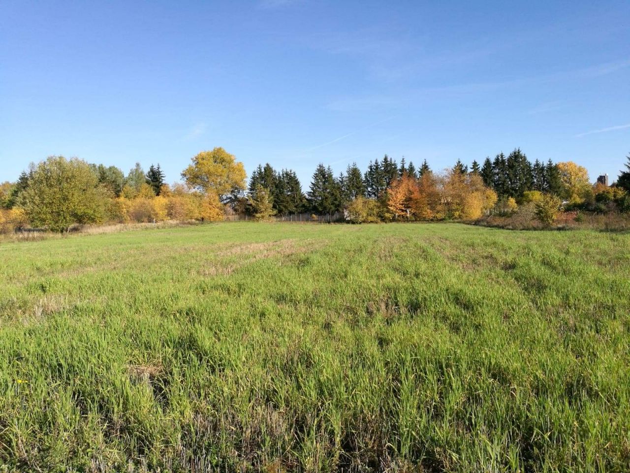 Działka budowlana Wałcz, ul. Wronia. Zdjęcie 8