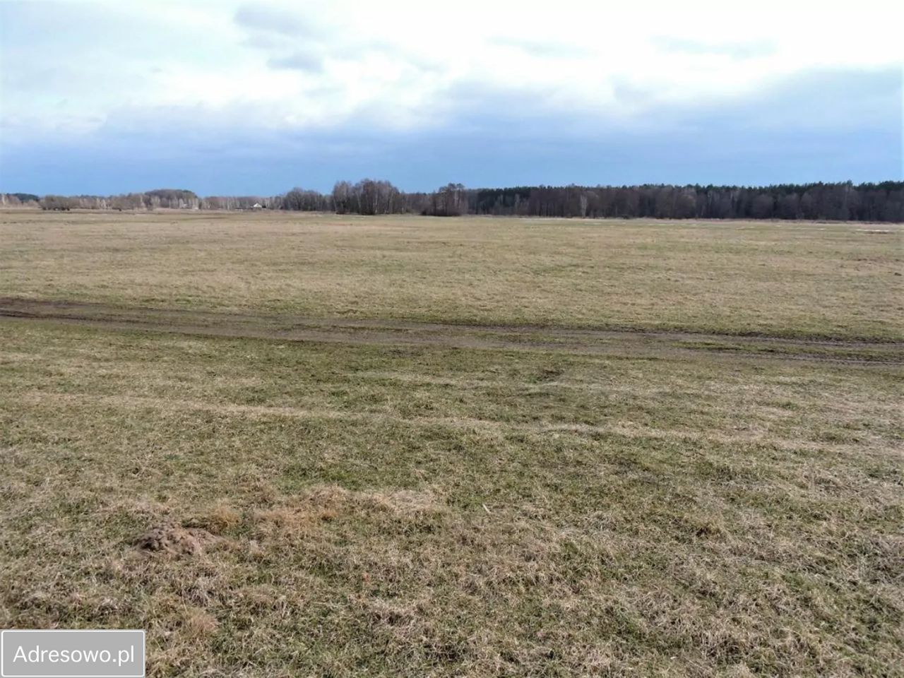 Działka rolna Kąck, ul. Malownicza. Zdjęcie 3