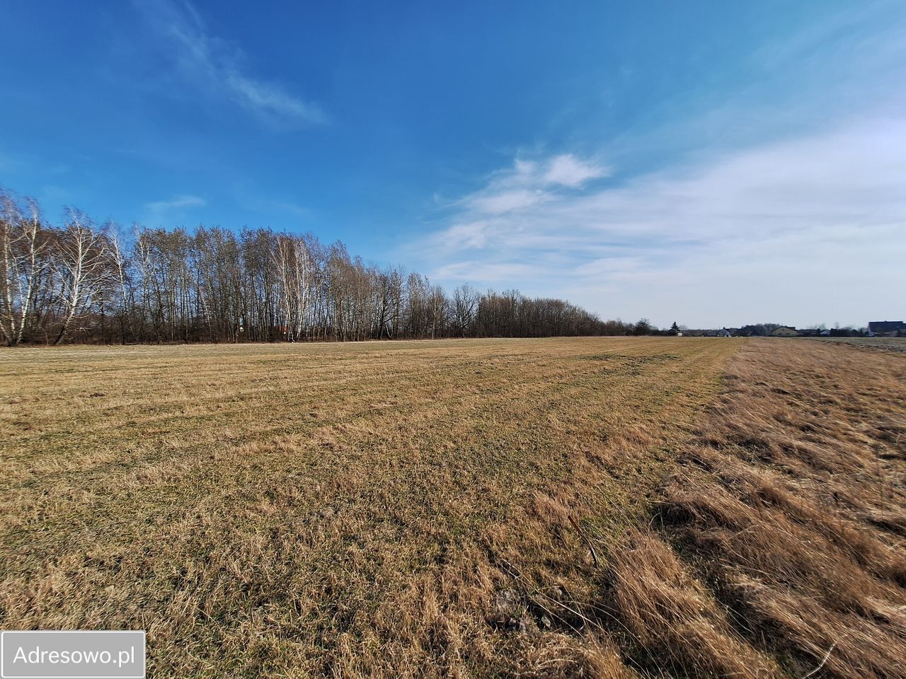 Działka budowlana Dobiesz. Zdjęcie 5