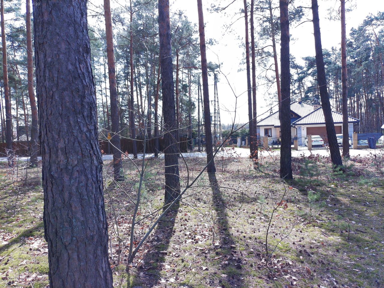 Działka budowlana Marynino, Sosnowa. Zdjęcie 6