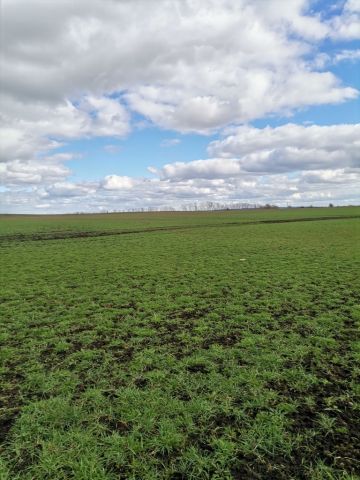 Działka rolna Będargowo. Zdjęcie 3