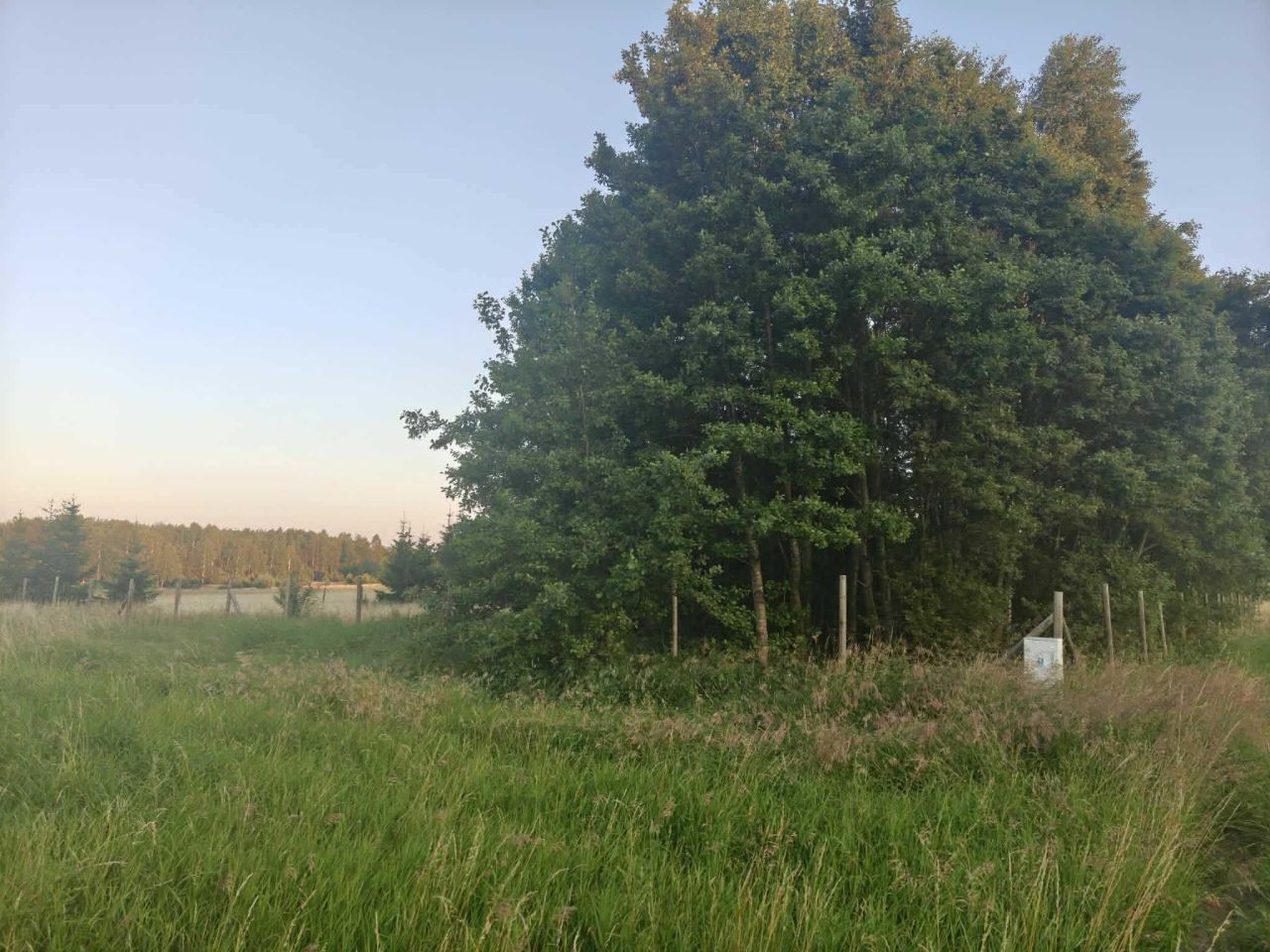 Działka rolno-budowlana Wądoły, ul. Brzozowa. Zdjęcie 6