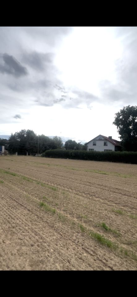 Działka budowlana Dobrocin, ul. Kościuszki. Zdjęcie 4
