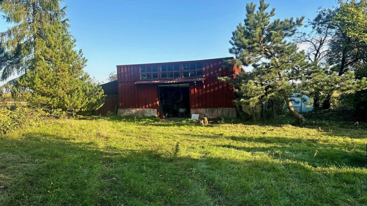 siedlisko Targowisko-Kolonia. Zdjęcie 3