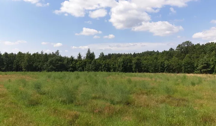 Działka budowlana Roztoki