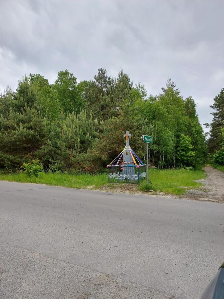 Działka rolno-budowlana Dębiny-Kolonia. Zdjęcie 5