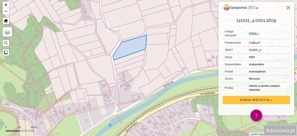 Działka rolna Muszyna, ul. Słoneczna. Zdjęcie 2