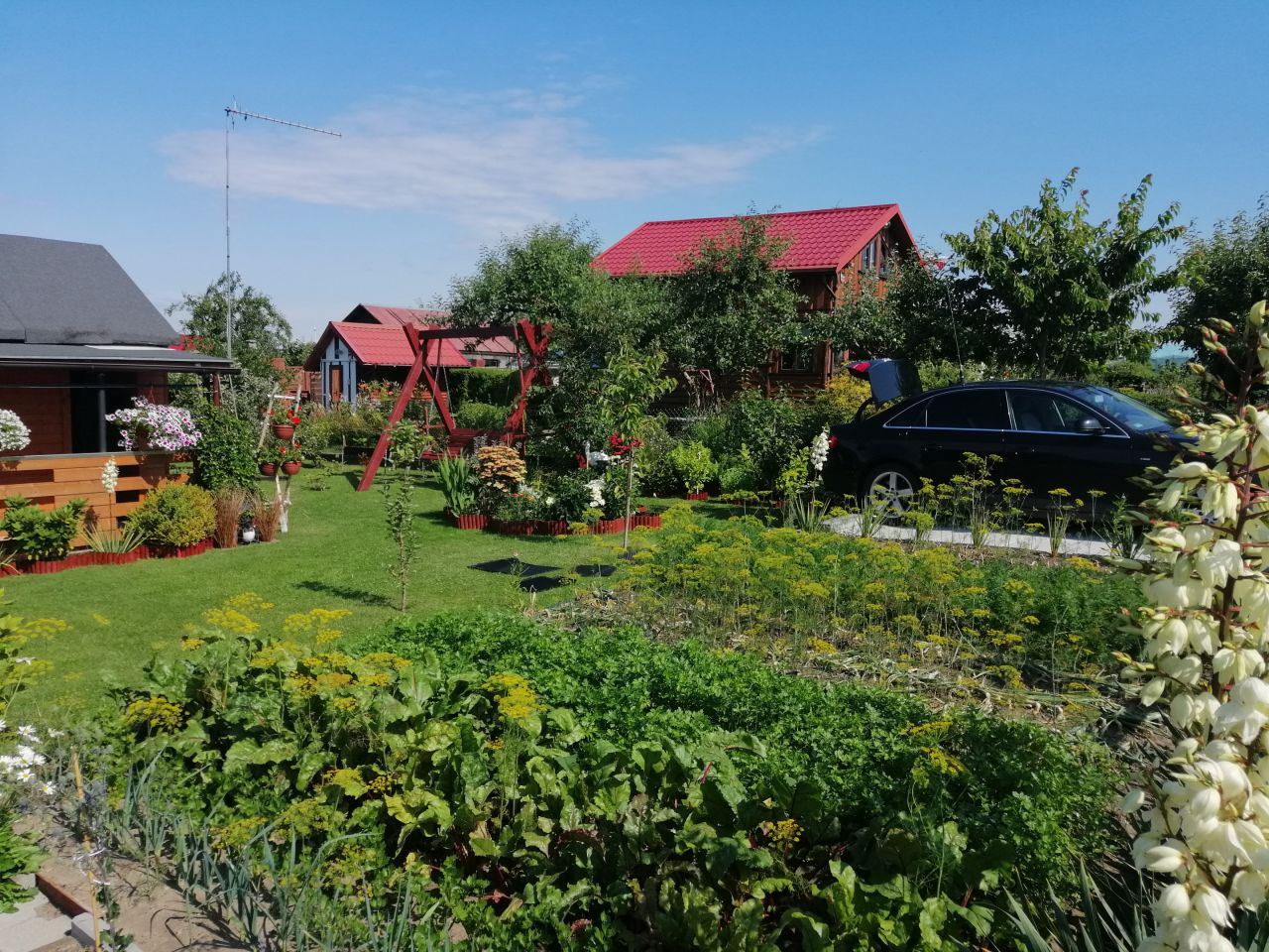 Działka rod Kołobrzeg, ul. Bolesława Krzywoustego. Zdjęcie 45