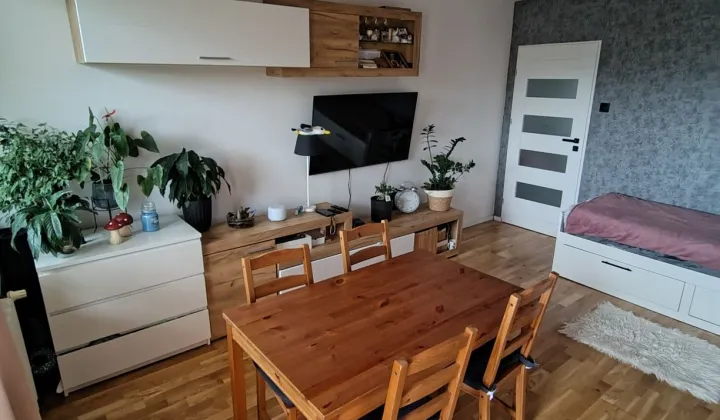 Mieszkanie 2-pokojowe Legnica