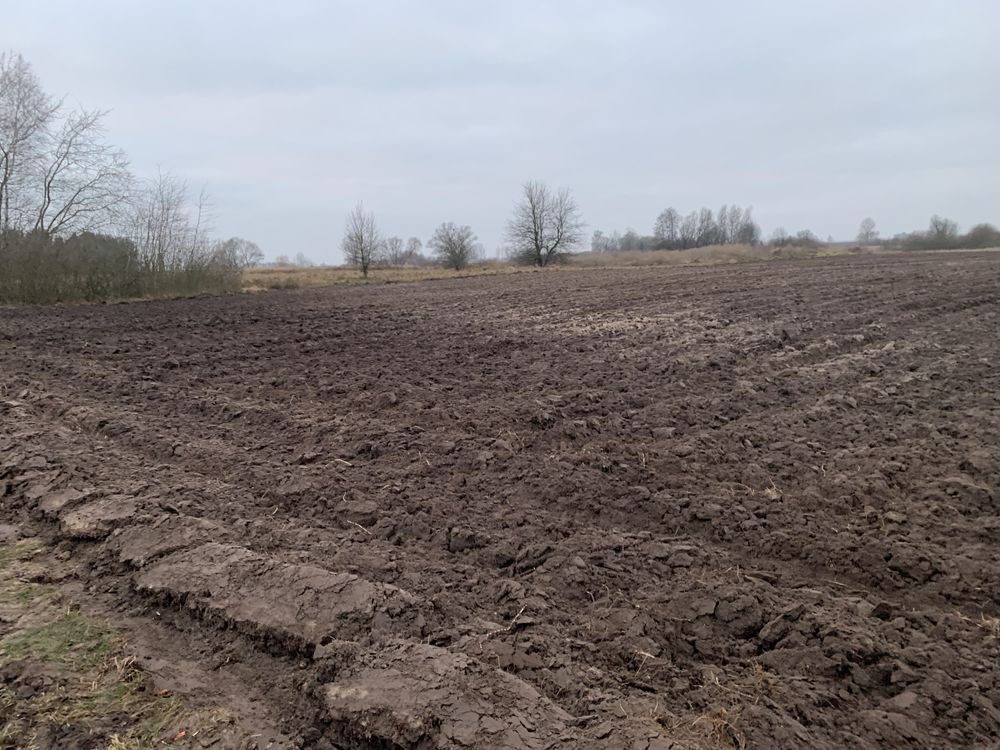 Działka rolna Wronowice. Zdjęcie 2