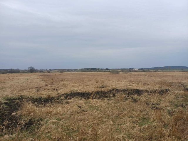 Działka rolna Malechowo. Zdjęcie 1