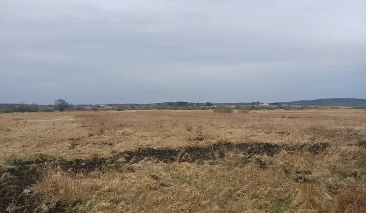 Działka rolna Malechowo