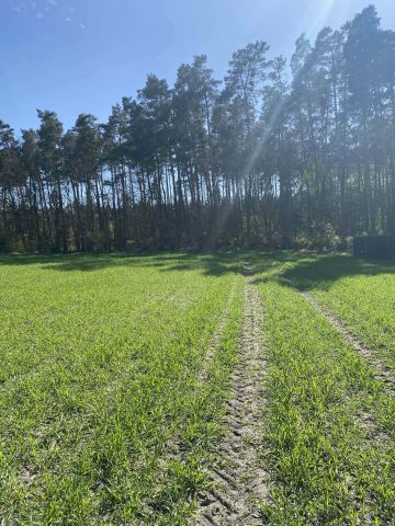 Działka budowlana Jagodziniec. Zdjęcie 1