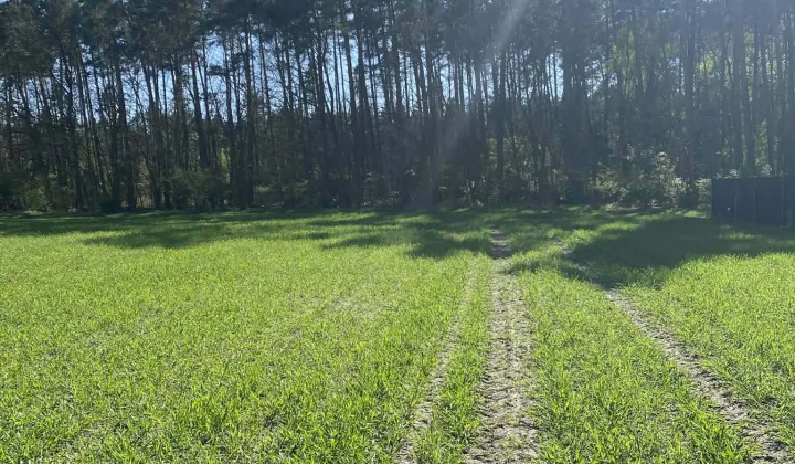 Działka budowlana Jagodziniec
