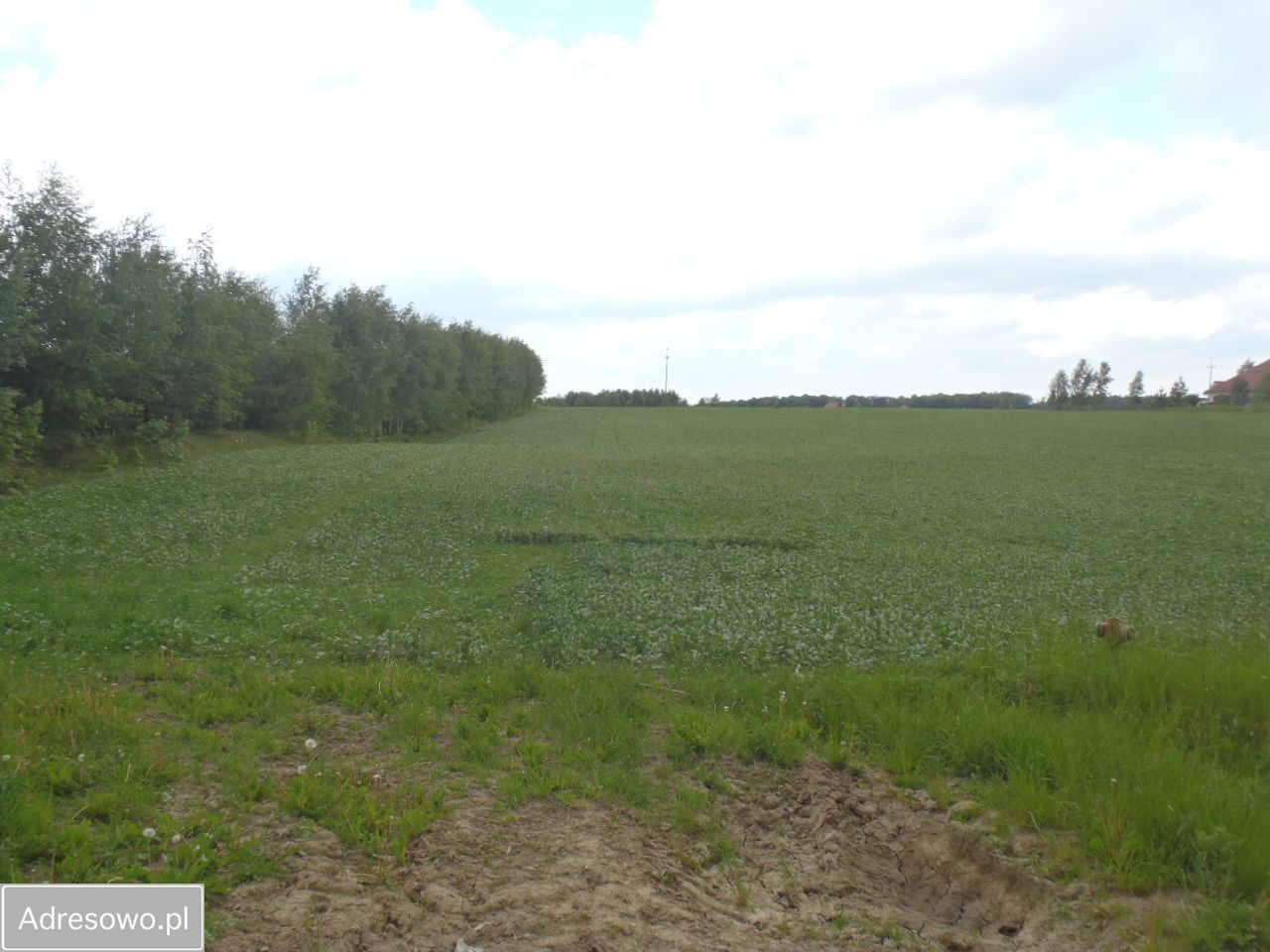 Działka budowlana Kleszczewo, ul. Brzozowa. Zdjęcie 4