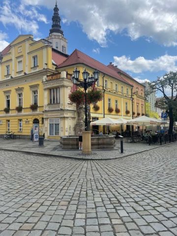 Lokal Świdnica. Zdjęcie 2