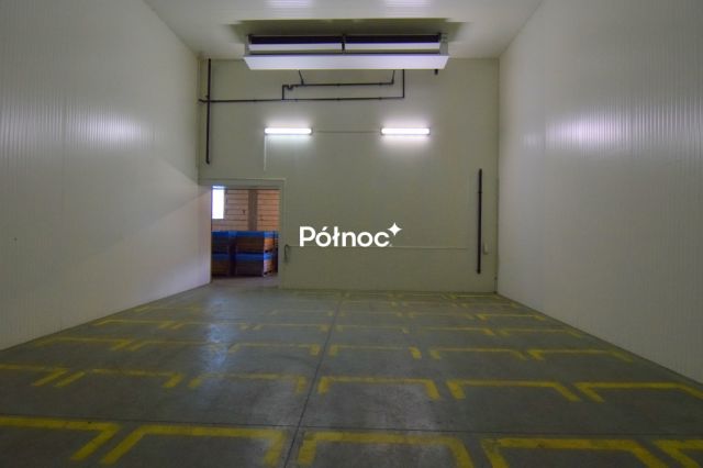 Hala/magazyn Topolany. Zdjęcie 15