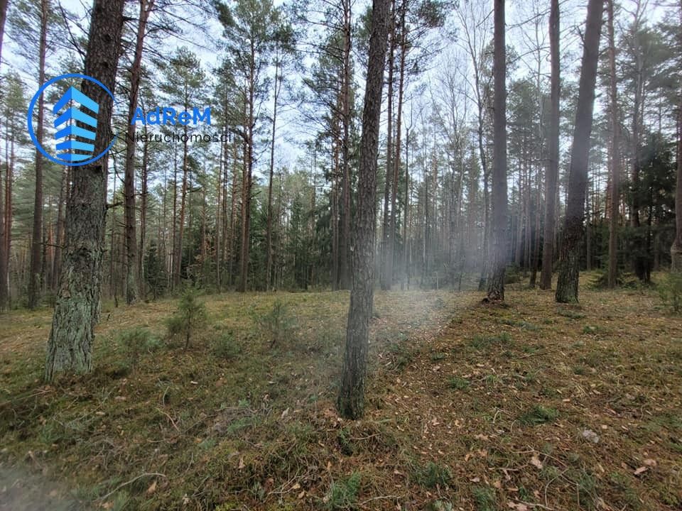 Działka leśna Wierobie. Zdjęcie 5