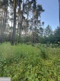 Działka rekreacyjna Władysławów, ul. Ku Rzece