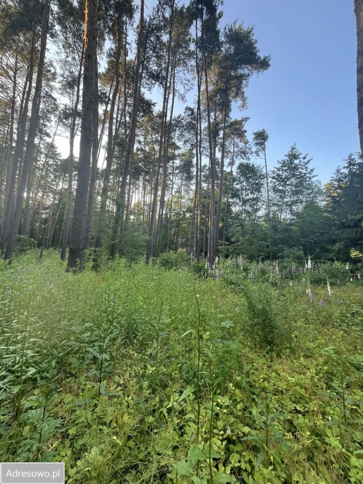Działka rekreacyjna Władysławów, ul. Ku Rzece