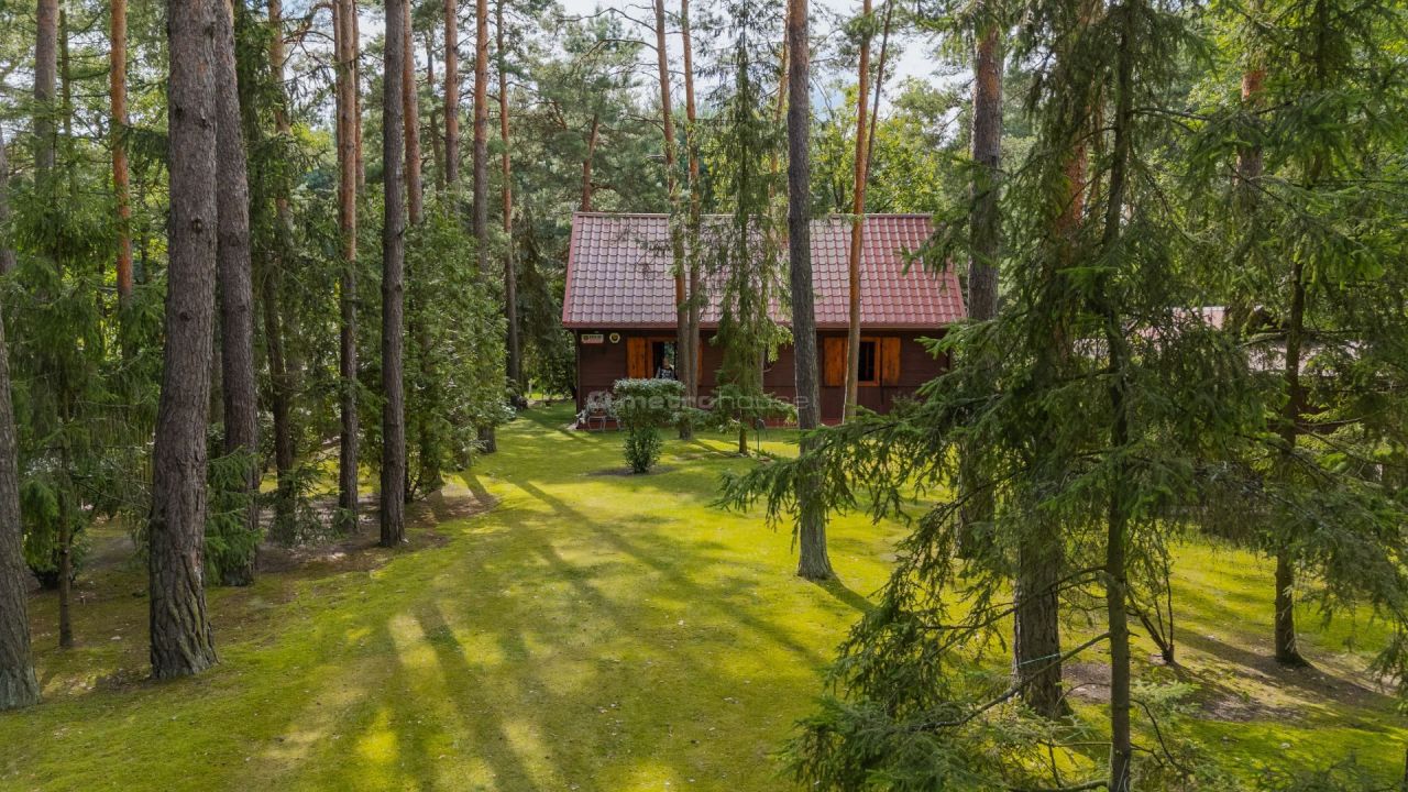 dom wolnostojący, 3 pokoje Borsuki-Kolonia