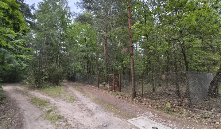 Działka rekreacyjna Radzymin Rejentówka, ul. Borówkowa