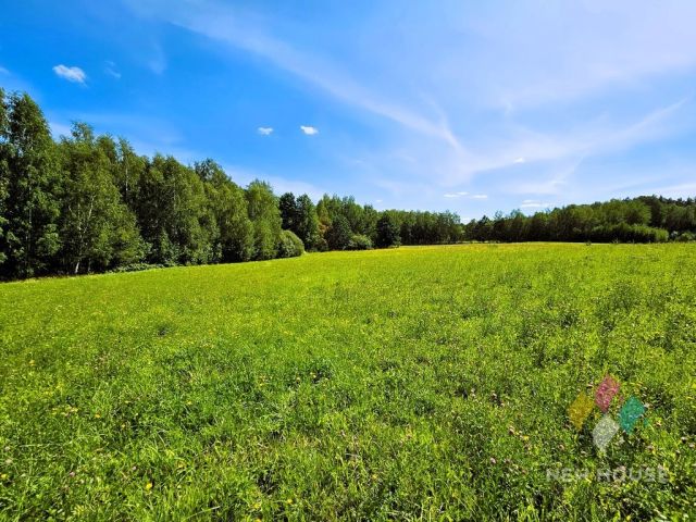 Działka budowlana Patryki. Zdjęcie 3