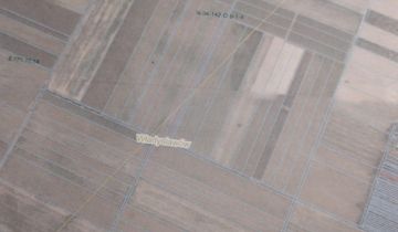 Działka leśna Władysławów