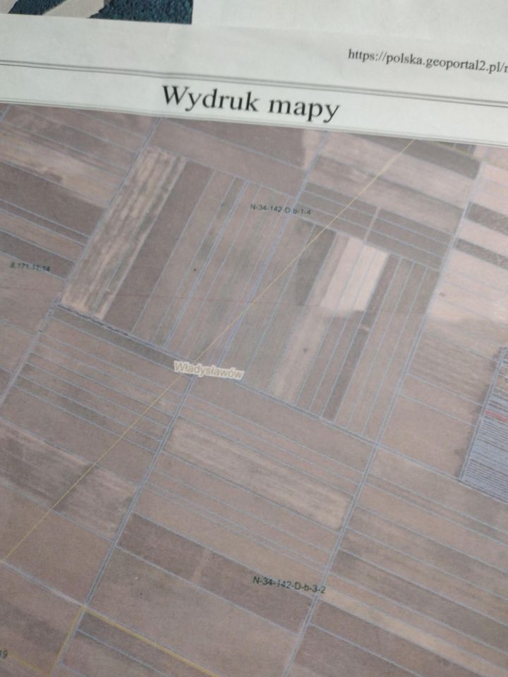 Działka leśna Władysławów. Zdjęcie 2