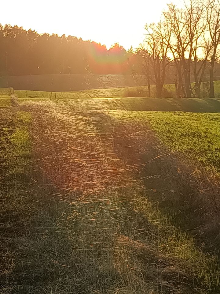 Działka rolno-budowlana Niedamowo. Zdjęcie 16