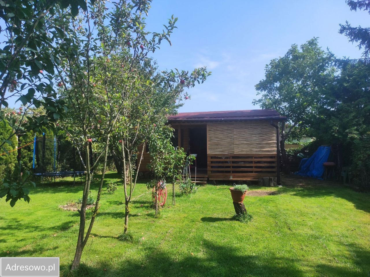 Działka rod Milanówek, ul. Turczynek