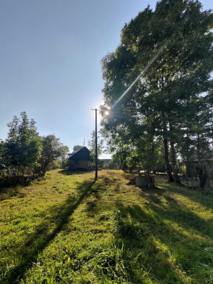 Działka siedliskowa Wólka Miedzyńska. Zdjęcie 6