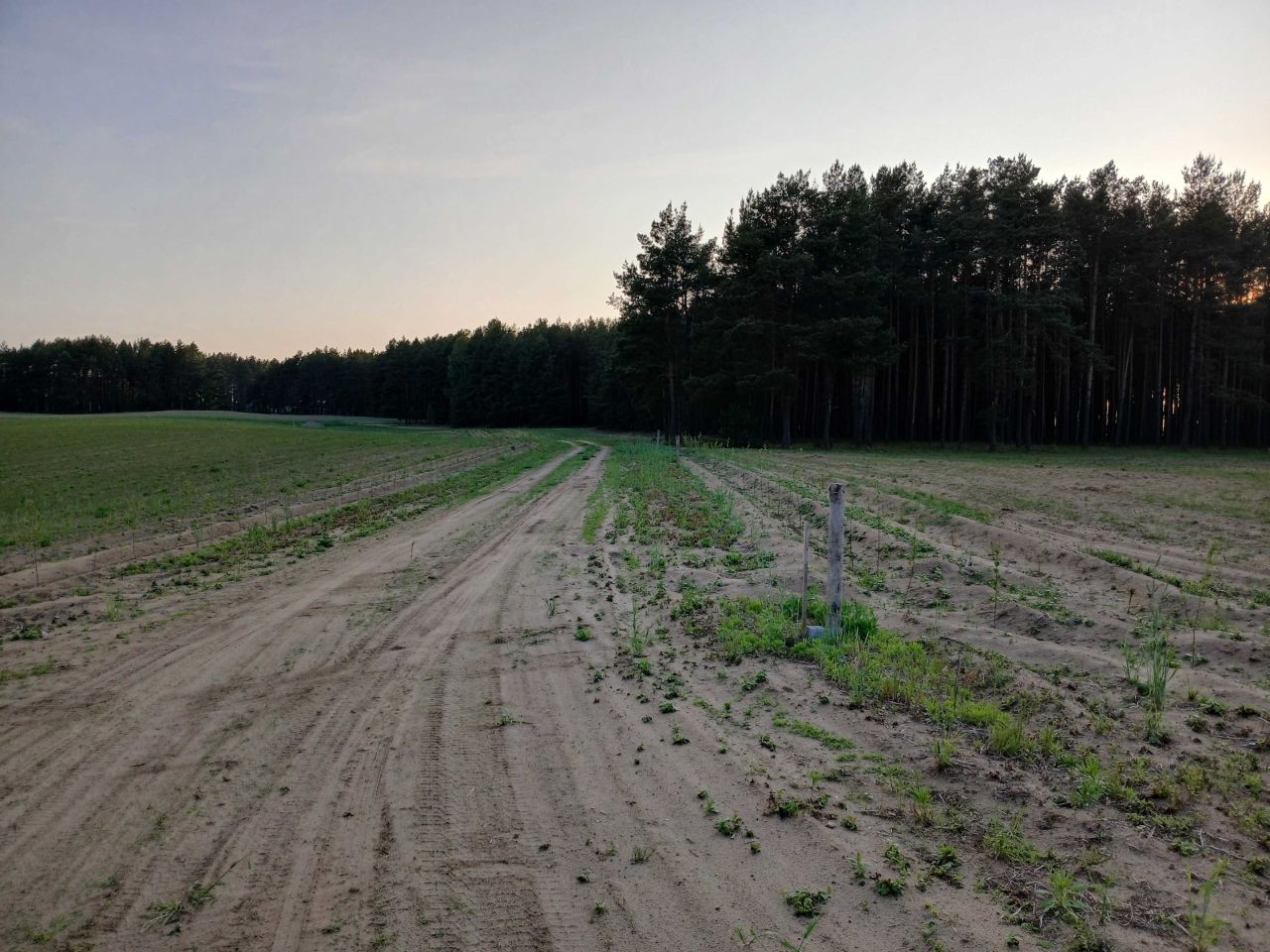Działka rolno-budowlana Popielewo. Zdjęcie 4