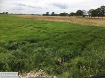 Działka rolna Niegoszcz. Zdjęcie 3