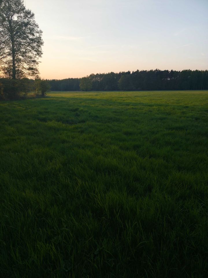 Działka budowlana Wrzeszczewice Nowe. Zdjęcie 7