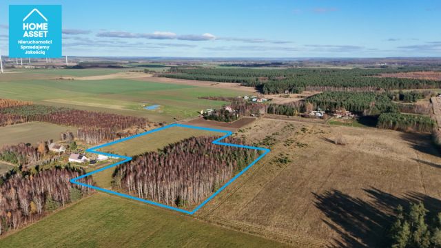 Działka rolna Dąbrówno. Zdjęcie 13