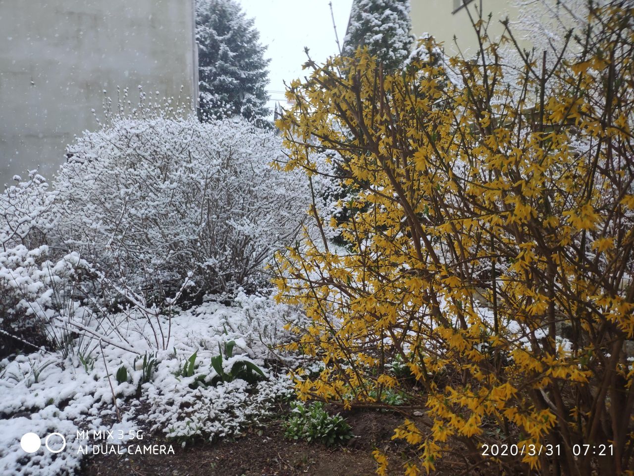 dom wolnostojący, 12 pokoi Radwanice, ul. Konstantego Ildefonsa Gałczyńskiego. Zdjęcie 30