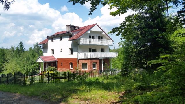 dom wolnostojący, 13 pokoi Borowice. Zdjęcie 26