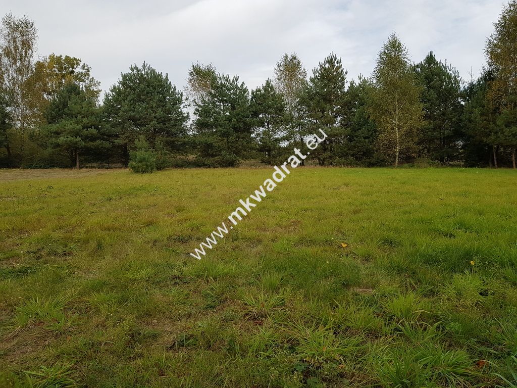 Działka budowlana Radziejowice-Parcel. Zdjęcie 4